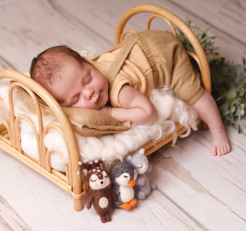 Bambu Çekim Sepeti / Bambu Props