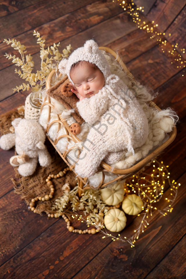 Bambu (Rattan) Çekim Sepeti (Yüksek Yatak) / Bambu Props