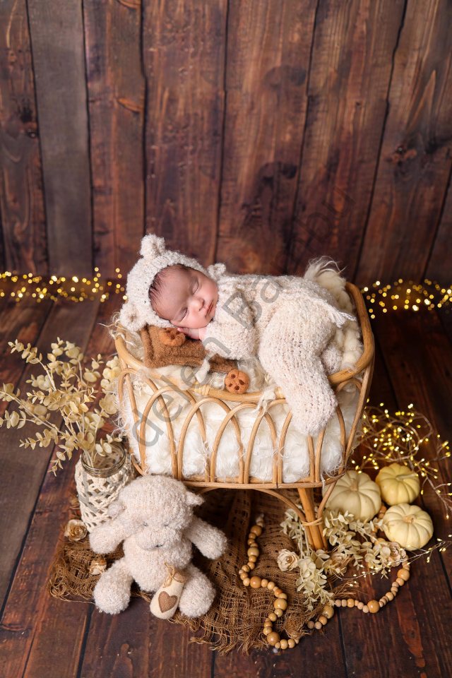 Bambu (Rattan) Çekim Sepeti (Yüksek Yatak) / Bambu Props